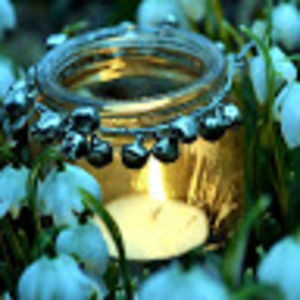 Meet your Posher, Joy